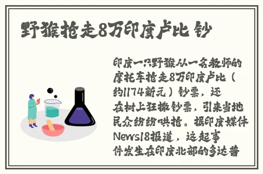 蘑菇官网登陆入口